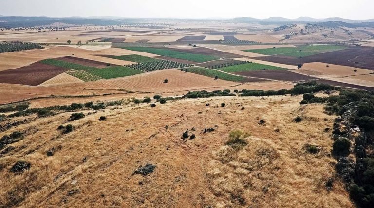 Savia se persona en las consultas previas al proyecto de minería de tierras raras en el Campo de Montiel