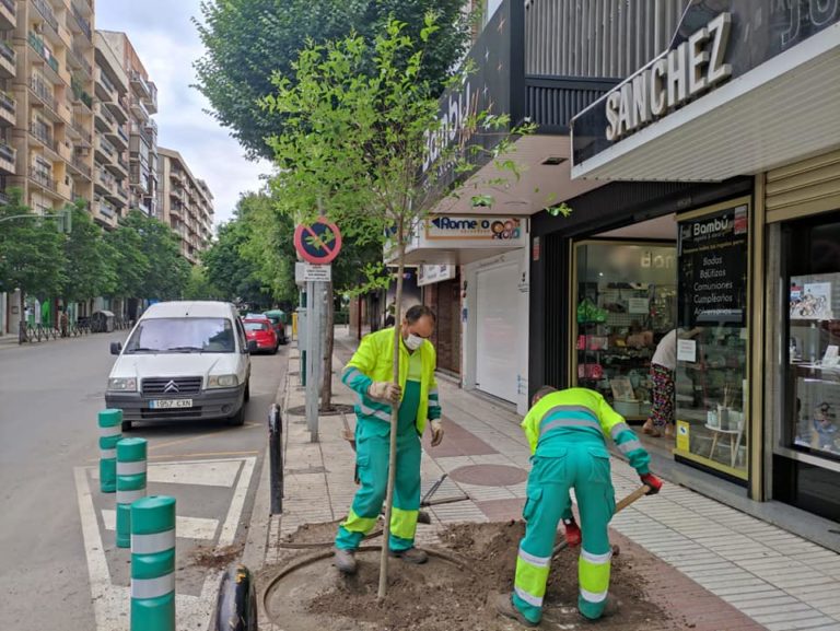 Puertollano: Plantados dos árboles en Avenida Primero de Mayo en el día del medio ambiente