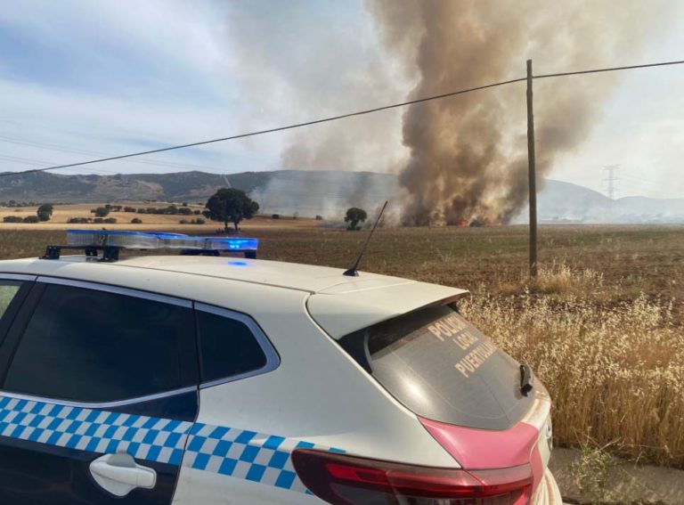 Controlado el incendio forestal declarado este viernes en Puertollano