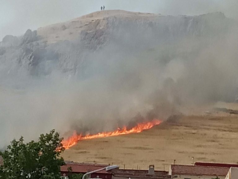 La lacra de los incendios provocados llega puntual a Puertollano