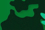 banner rsu 2