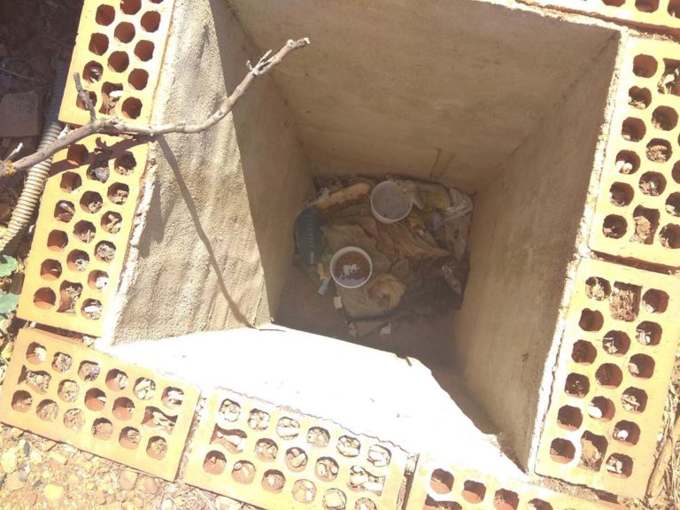 Puertollano: Rescatado un gato atrapado en una arqueta durante una semana