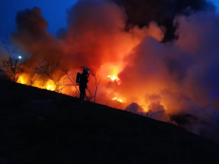 Emergencia climática y «creación» urgente de bosques: El clima enloquece