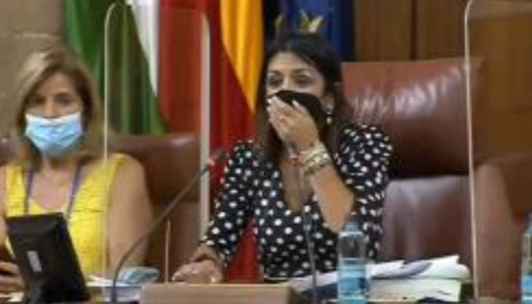La presencia de una rata en el Parlamento de Andalucía provoca un revuelo entre los diputados durante el Pleno
