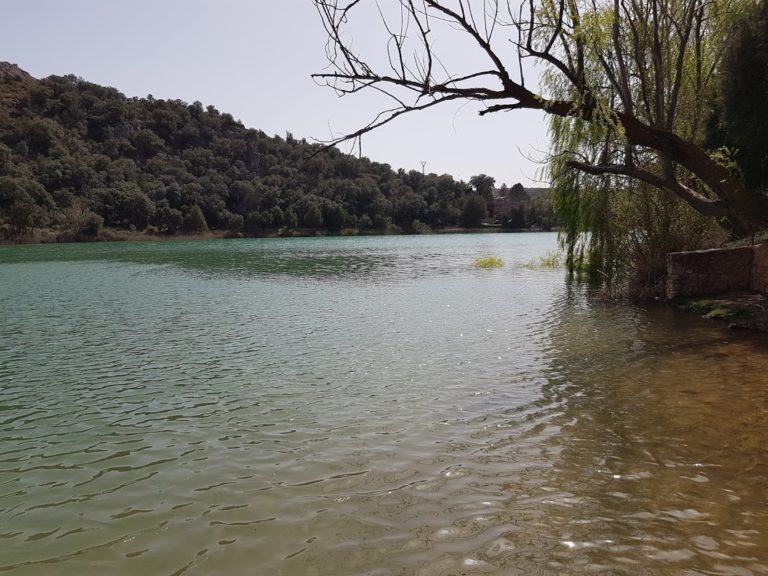 El incendio en un camping de las Lagunas de Ruidera afecta al arbolado de la instalación y quema una cabaña de madera