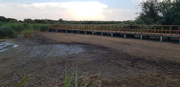 Podemos avisa de una «trama de corrupción» de destrucción del medioambiente en C-LM tras juicio de alcalde de Membrilla