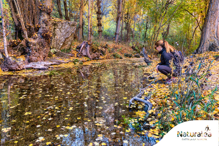 Los parques naturales de Castilla-la Mancha ofrecen espectaculares rutas en octubre para conocer un patrimonio único