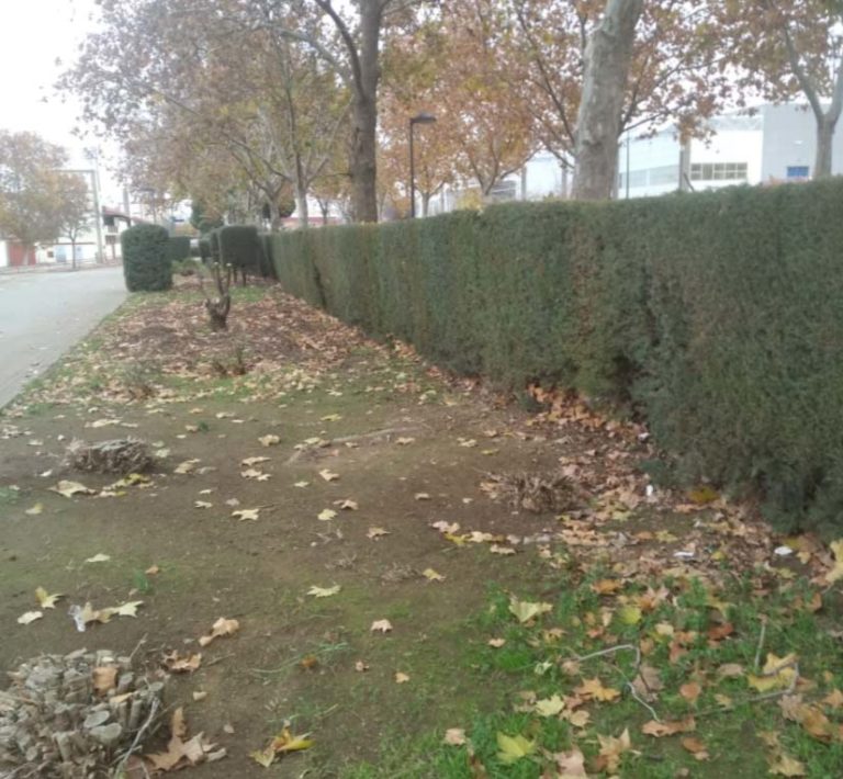 «Así sí»: Vecinos de Puertollano aplauden las labores de limpieza en el entorno del recinto ferial tras el mercadillo
