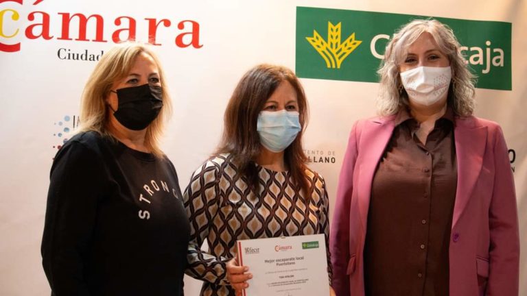Puertollano: Tisú Atelier, ganador del premio local del concurso de escaparates navideños de la Cámara y FECIR