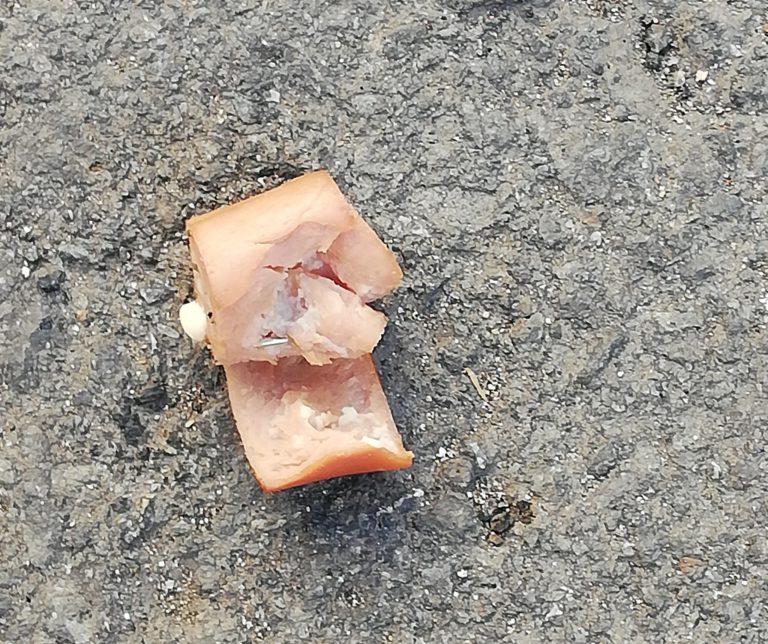 Puertollano: Retirados trozos de salchichas con alfileres en la calle Isabel La Católica