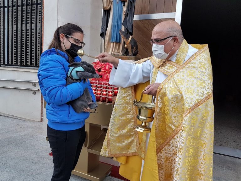Un conejo, una tortuga y muchos peludos hacen historia en Puertollano: La parroquia de San Antonio recupera la bendición de animales