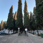cementerio-de-puertollano-2