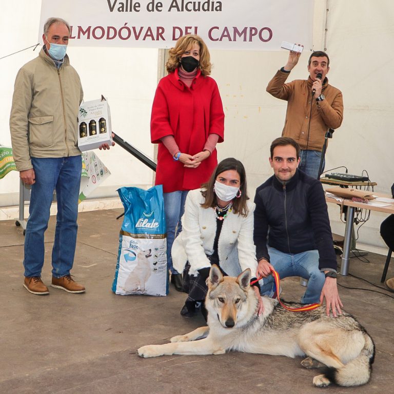 Almodóvar del Campo: La vuelta del concurso canino en la Feria de Marzo levantó expectación