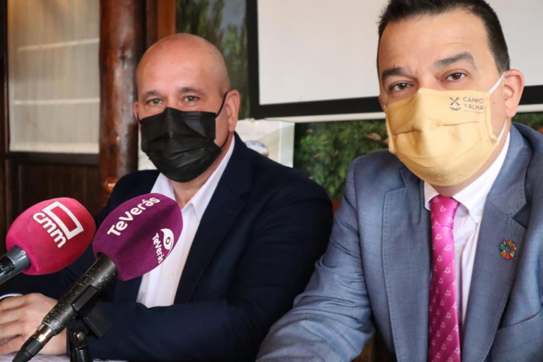 Castilla-La Mancha podrá multiplicar por cuatro la producción actual de pipa de girasol si se cultivaran las 600.000 hectáreas de barbecho