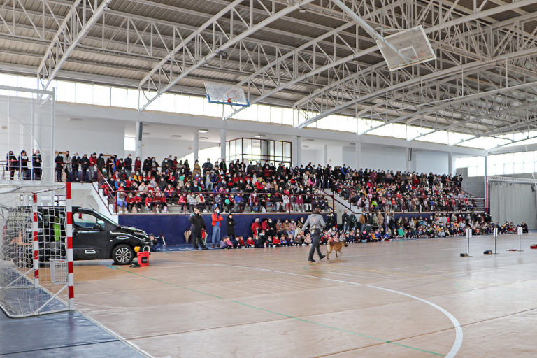 Almodóvar del Campo: Escolares asisten a la exhibición de perros adiestrados para labores de seguridad y protección