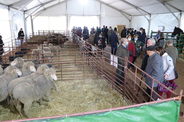 Balance positivo por la acogida de la Feria de Marzo de Almodóvar del Campo