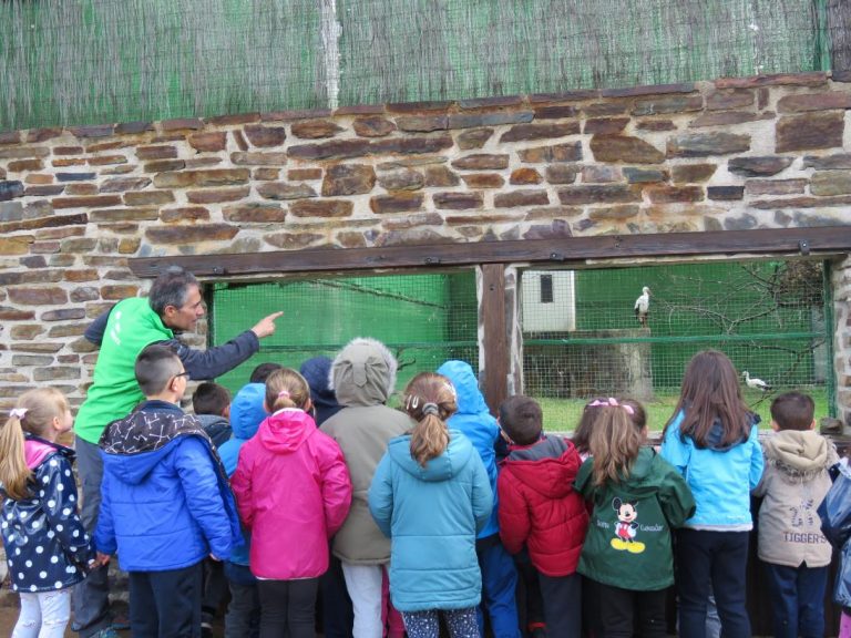 El Gobierno de Castilla-La Mancha diseña un completo programa de actividades de ‘Educación Ambiental’ en primavera, repleto de novedades