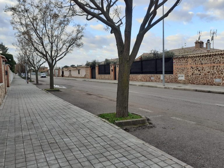 Ciudad Real apuesta por el desbroce frente a la utilización de herbicidas en alcorques