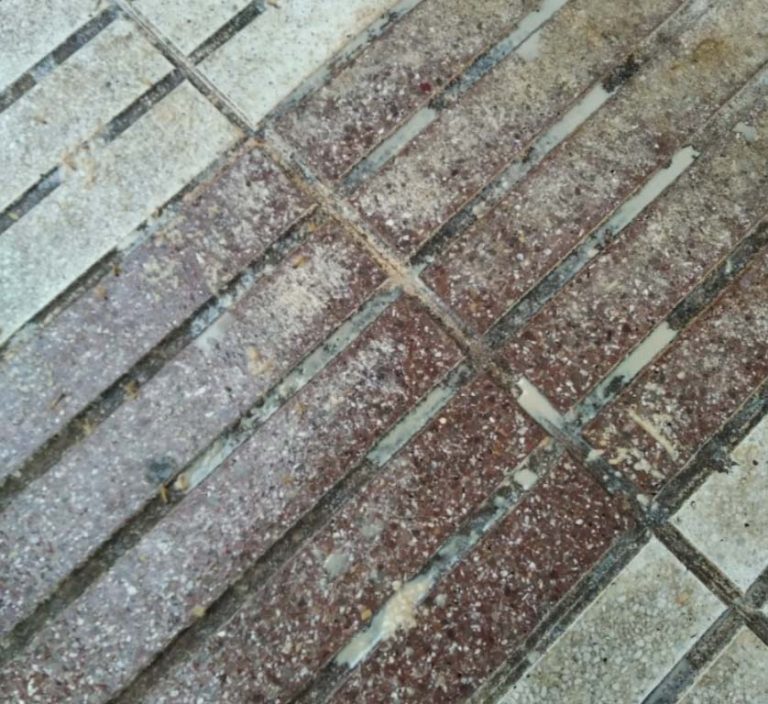 Puertollano: Resbalones en la calle Ferroviarios por culpa de una persona que arroja restos de comida desde su piso