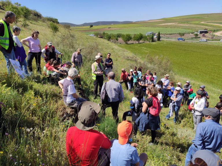 El Geolodía descubre el cementerio de los elefantes de Las Higueruelas