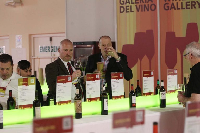 FENAVIN analizará las oportunidades de negocio para el vino español en Alemania