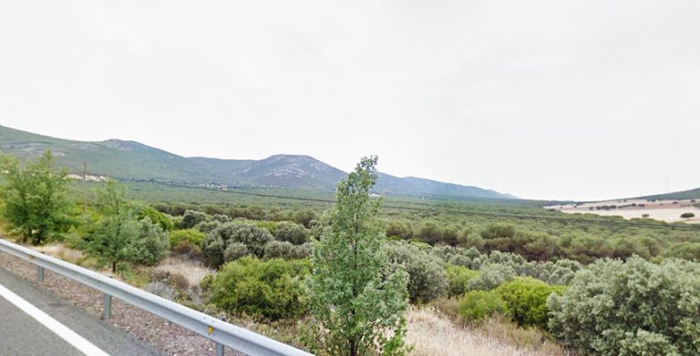 Puertollano: La Concejalía Ciudadana recomienda extremar la precaución de incendio en espacios verdes por altas temperaturas