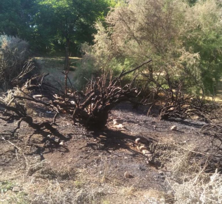 Preocupación vecinal, un año más, por la proliferación de incendios en el casco urbano de Puertollano