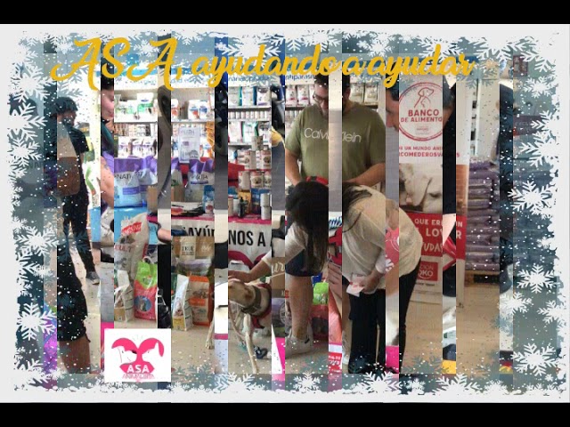 ASA Animalista no deja de trabajar por las mascotas