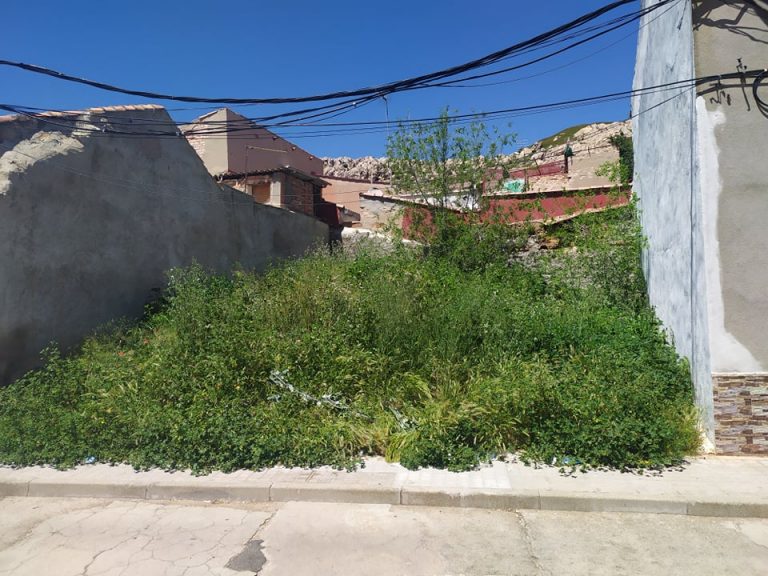 Puertollano: El selvático e insalubre solar de la calle San Manuel