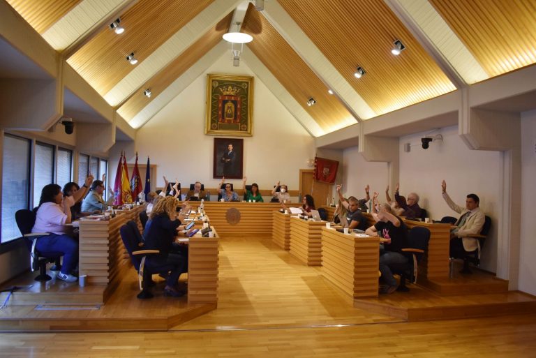 Inversión de 1,1 millones para SEPES, obras en pedanías y posibilidad de pagar tributos por BIZUM, asuntos aprobados en el Pleno de Ciudad Real
