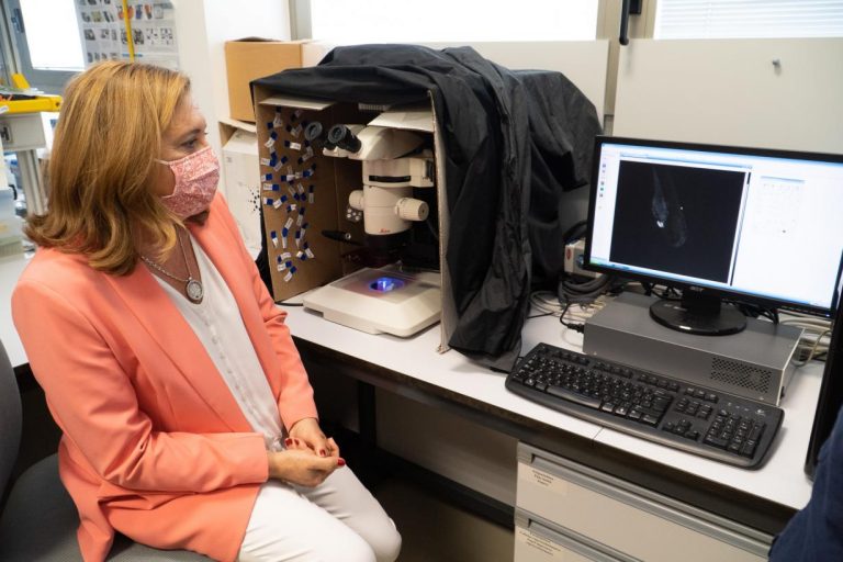 Junta de Comunidades y Estado destinan más de 1,4 millones de euros para investigación sobre el uso de materiales avanzados en Castilla-La Mancha