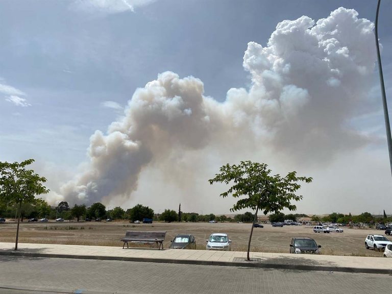 Puy du Fou evacua el recinto y cancela el espectáculo nocturno de este viernes tras el incendio en una finca colindante