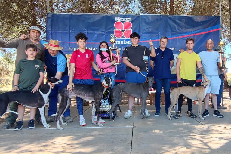Argamasilla de Calatrava: Cerca de un centenar de galgos compitieron el domingo en ‘Los Moralejos’￼