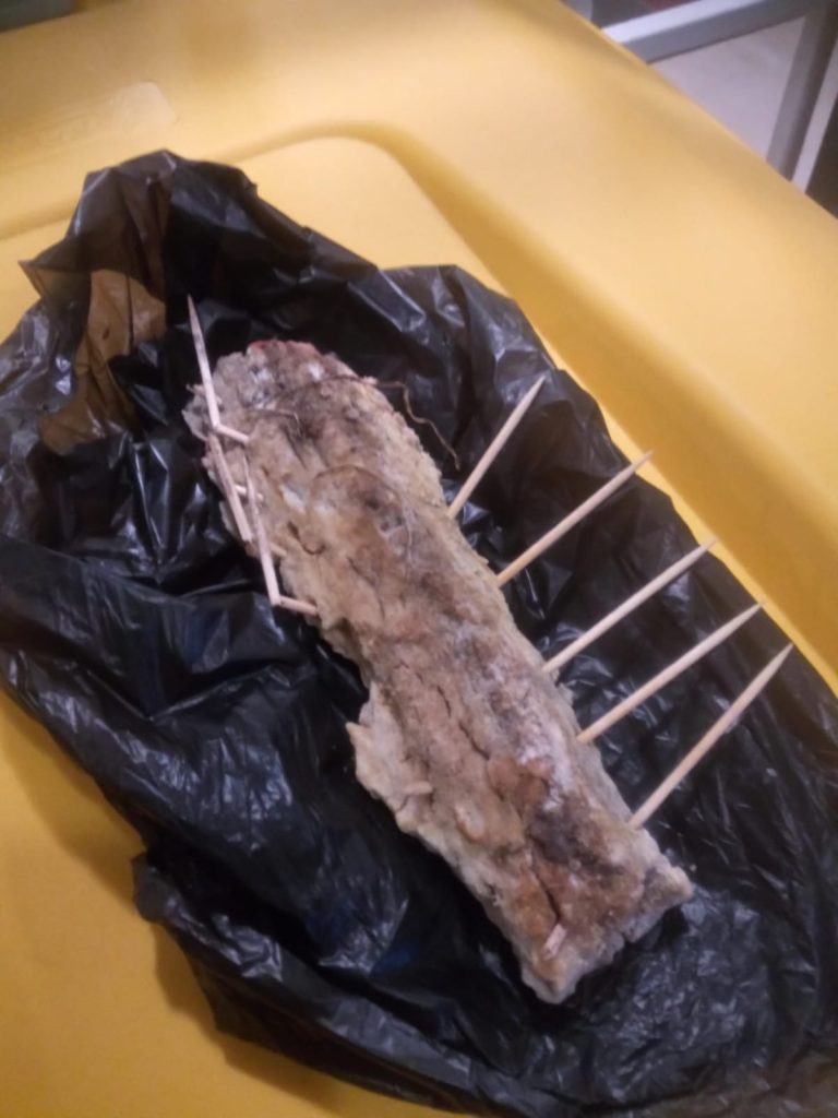 Denuncian la presencia de huesos con palillos en un jardín próximo a la Escuela de Agrónomos