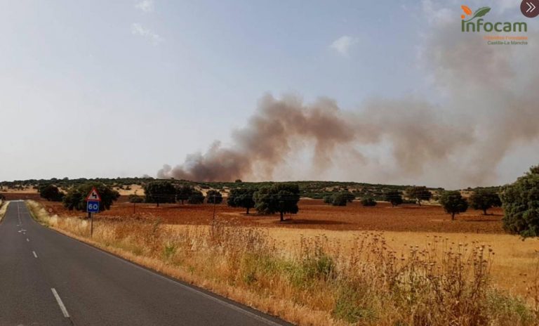 Trece medios y 64 personas actúan en la extinción de un incendio en Los Pozuelos de Calatrava