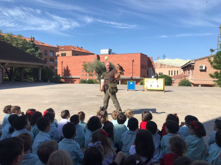 Más de 1.600 alumnos de nueve centros educativos de CLM conocen el mundo de la cetrería