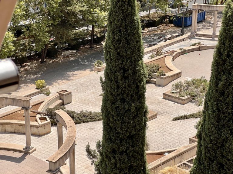 Puertollano: Comienza la tala y eliminación de plantas y mobiliario del Paseo del Bosque