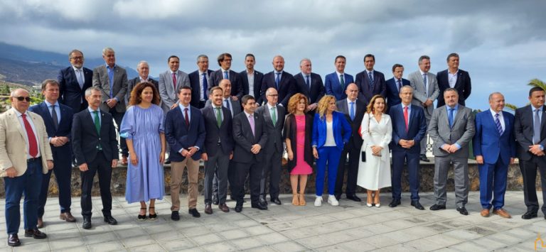 La Diputación de Ciudad Real, entre las que  cumplen los items de un informe de la FEMP en materia de prestación de  servicios sociales