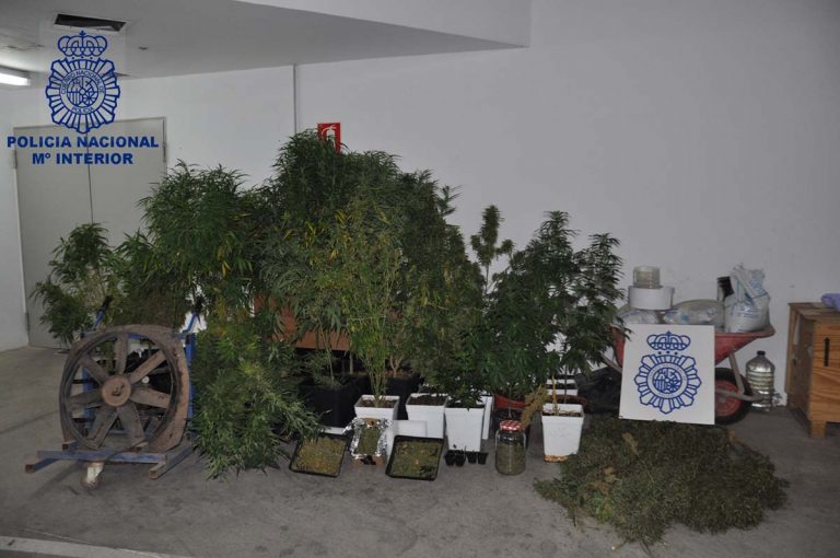La Policía Nacional descubre una plantación de marihuana en Valdepeñas tras acudir a una llamada que alertaba de un incendio