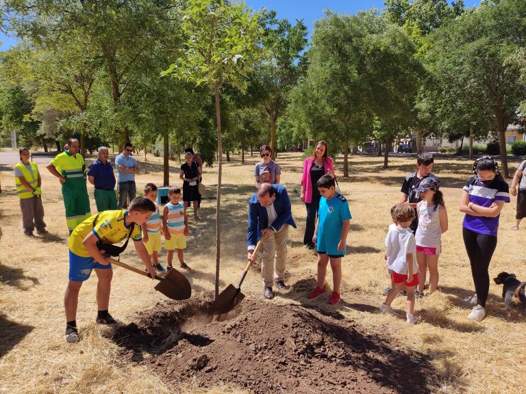 Puertollano: Culminan las actividades del Día Mundial del Medio Ambiente con la plantación de un almez