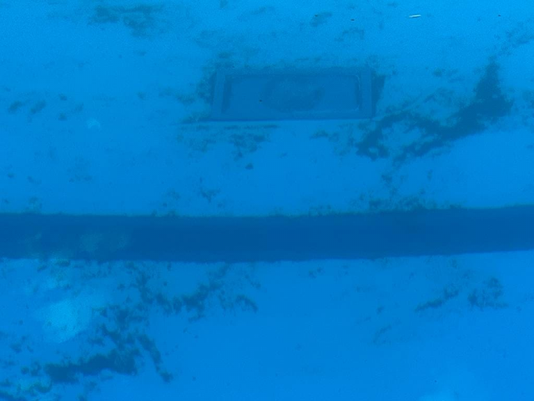 Vecinos de Miguelturra denuncian el estado de la piscina municipal, con excrementos incluidos