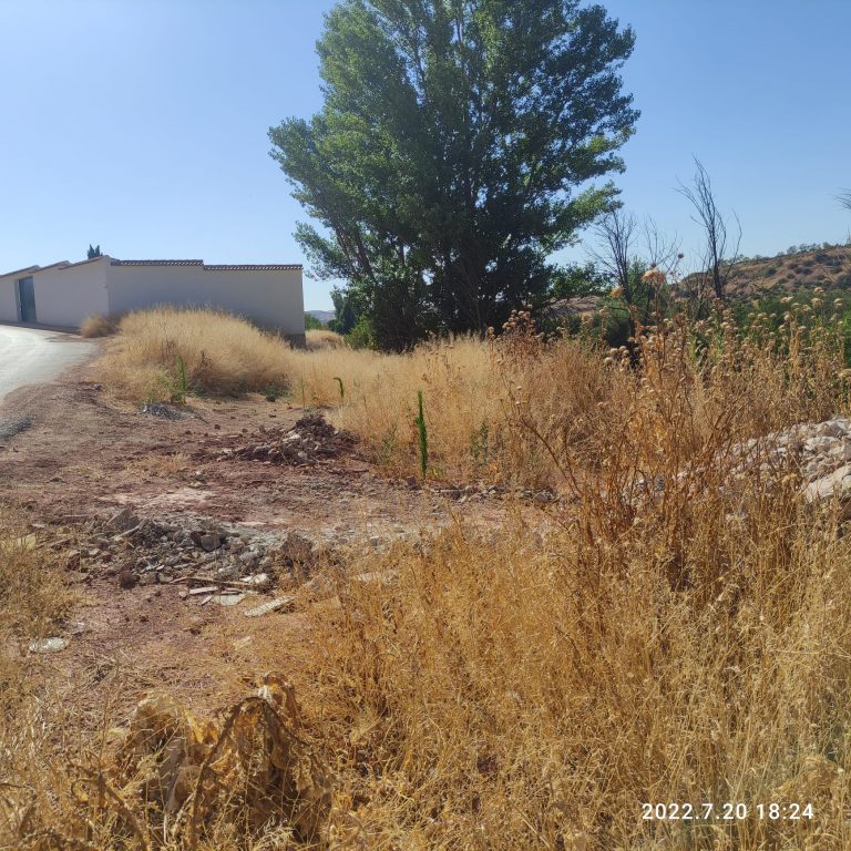 El PSOE de Montiel desconfía de Valero y Núñez «ya que su partido hace pocos años hacía ERE a los mismos que hoy trasladan su apoyo»