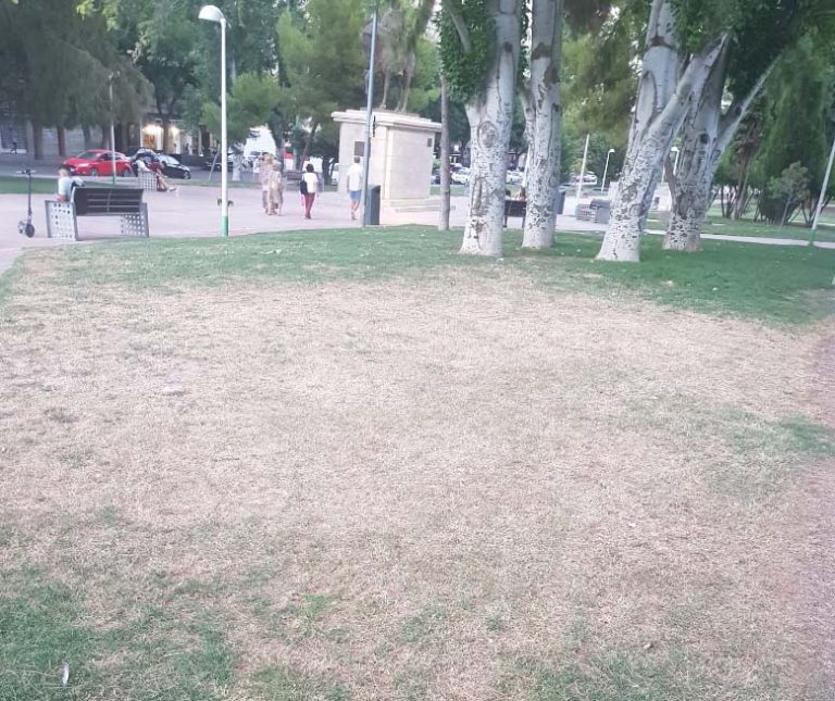 Ciudad Real: Vecinos denuncian el mal estado de los parques y jardines de El Torreón