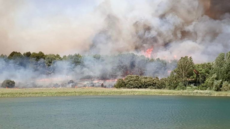 Un fuego declarado en el corazón de las Lagunas de Ruidera obliga a desalojar las zonas de baño y a confinar el municipio