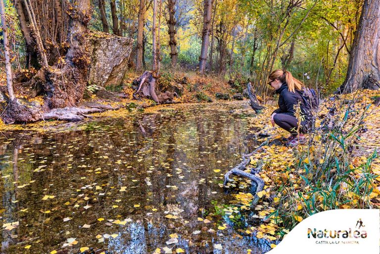 Las espectaculares rutas de otoño para «naturalear» en Castilla-La Mancha