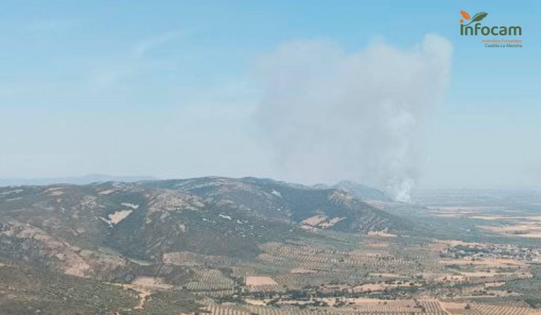 Doce medios y 43 personas trabajan en las labores de extinción de un incendio forestal en Malagón