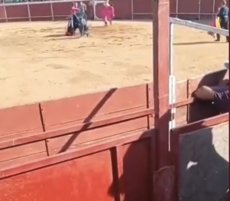 Canales Rivera sufre una cogida en Retuerta del Bullaque