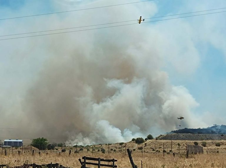 Puertollano: Otro incendio posiblemente provocado en el PAU