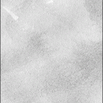 Banner-300×600-px 2