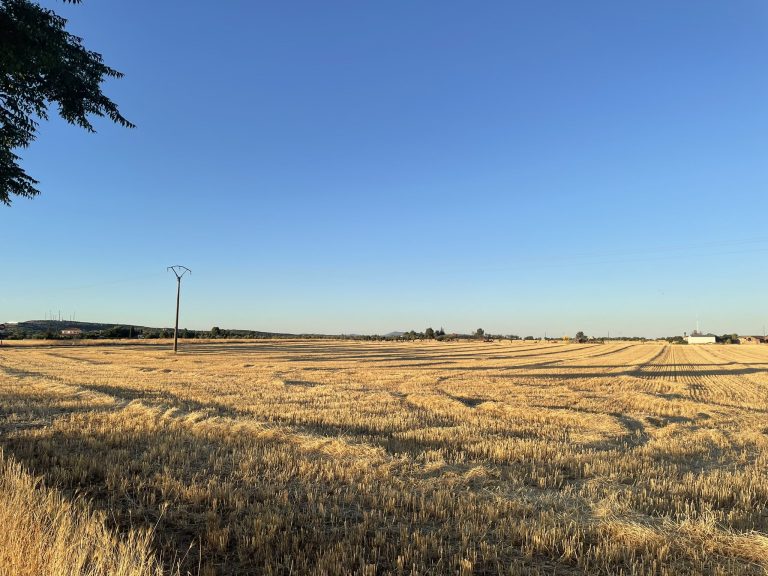 Siguen bajando los embalses de Ciudad Real